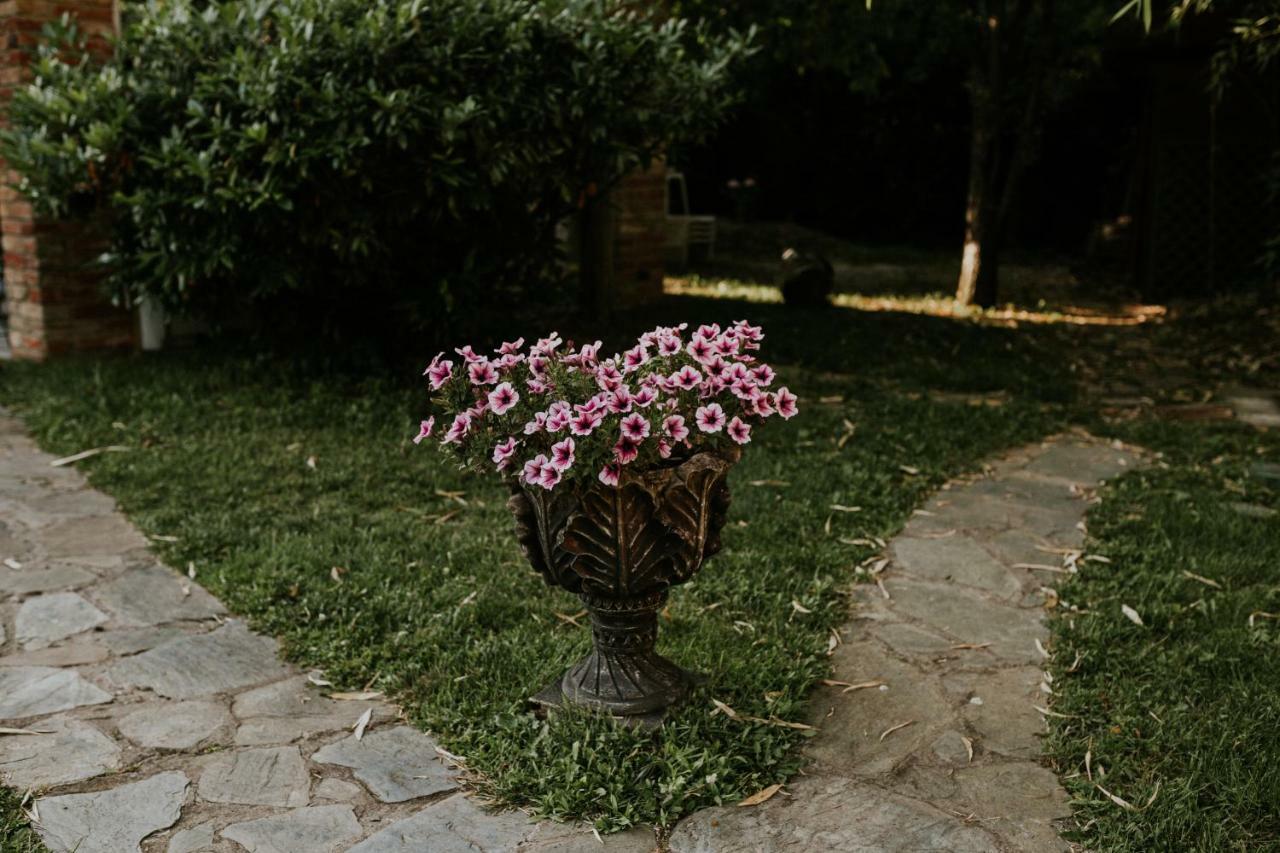 Hotel La Residenza Temeşvar Dış mekan fotoğraf